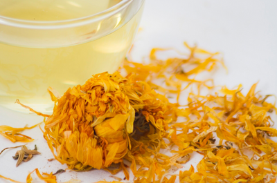 Arnica